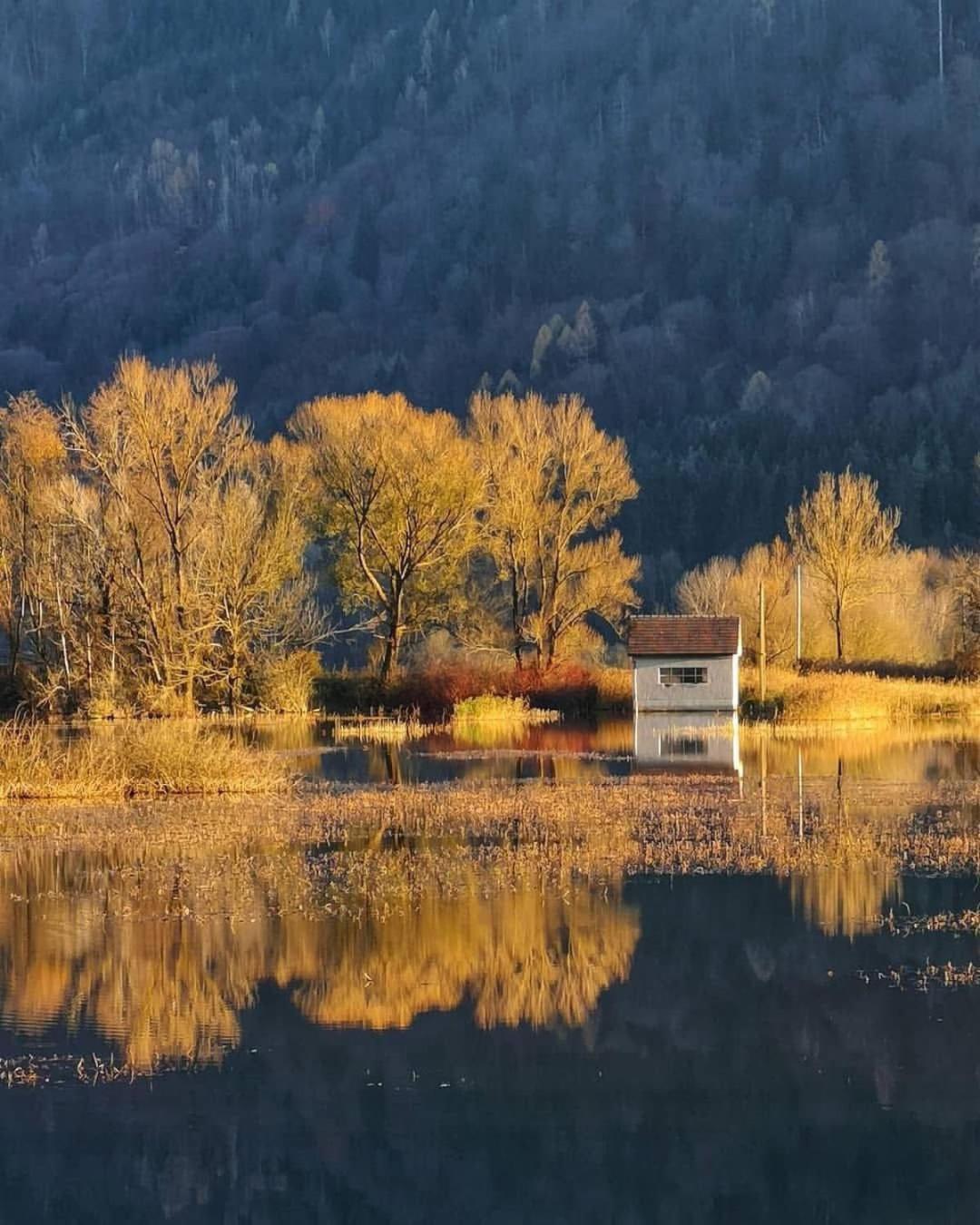 Ferienwohnung Resi Mit Traumhaftem Seepanorama Steindorf am Ossiacher See Exteriér fotografie