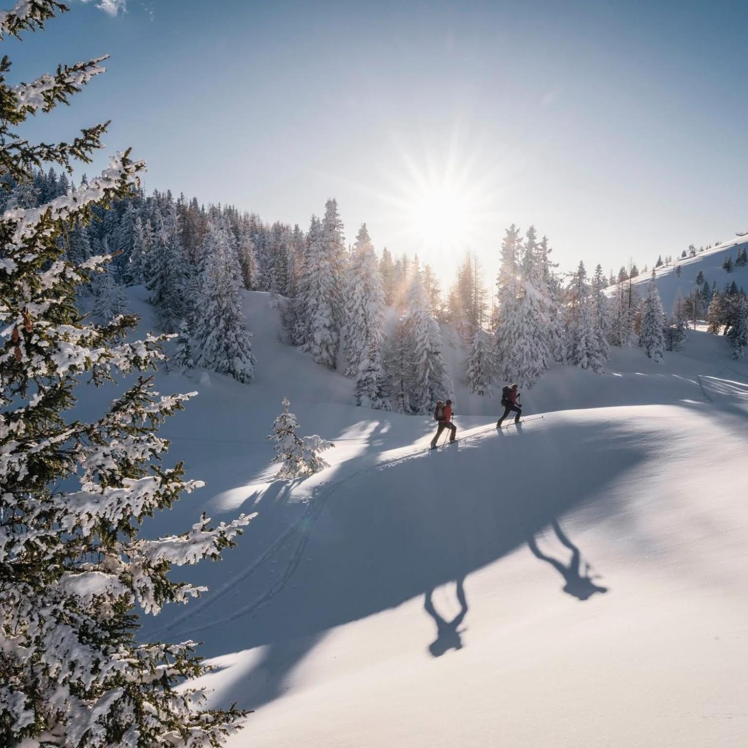 Ferienwohnung Resi Mit Traumhaftem Seepanorama Steindorf am Ossiacher See Exteriér fotografie