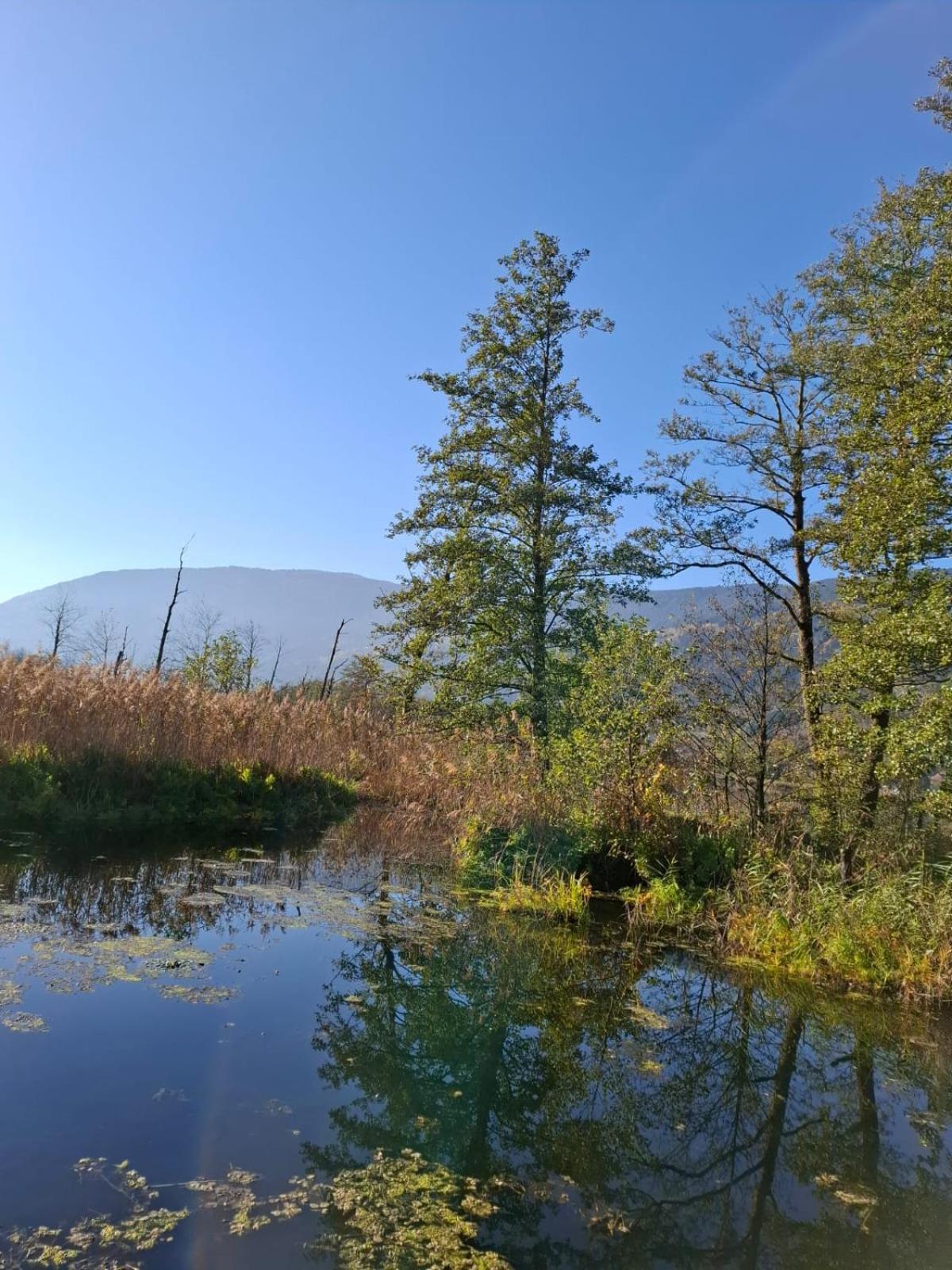 Ferienwohnung Resi Mit Traumhaftem Seepanorama Steindorf am Ossiacher See Exteriér fotografie