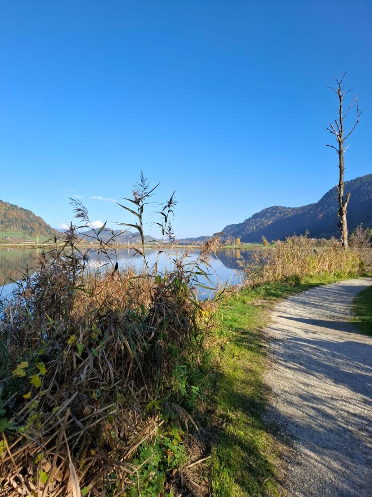 Ferienwohnung Resi Mit Traumhaftem Seepanorama Steindorf am Ossiacher See Exteriér fotografie