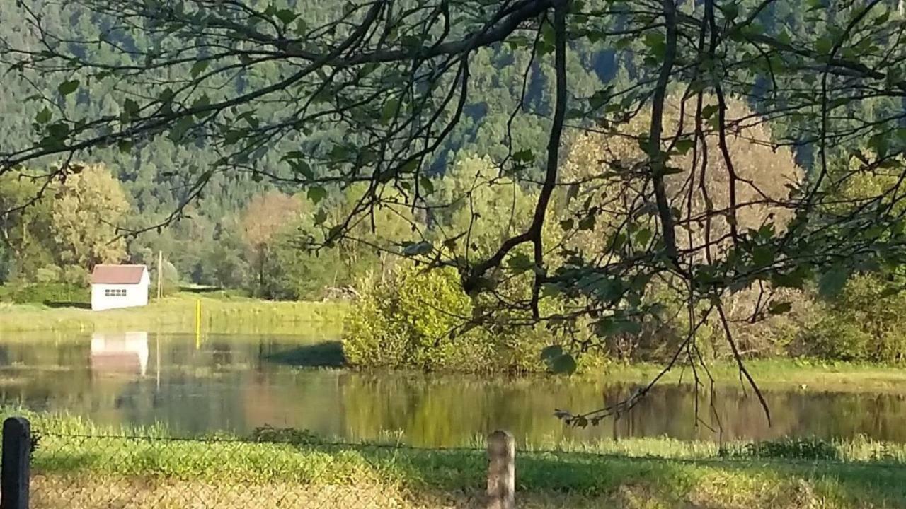 Ferienwohnung Resi Mit Traumhaftem Seepanorama Steindorf am Ossiacher See Exteriér fotografie