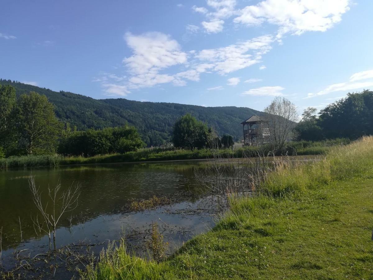 Ferienwohnung Resi Mit Traumhaftem Seepanorama Steindorf am Ossiacher See Exteriér fotografie