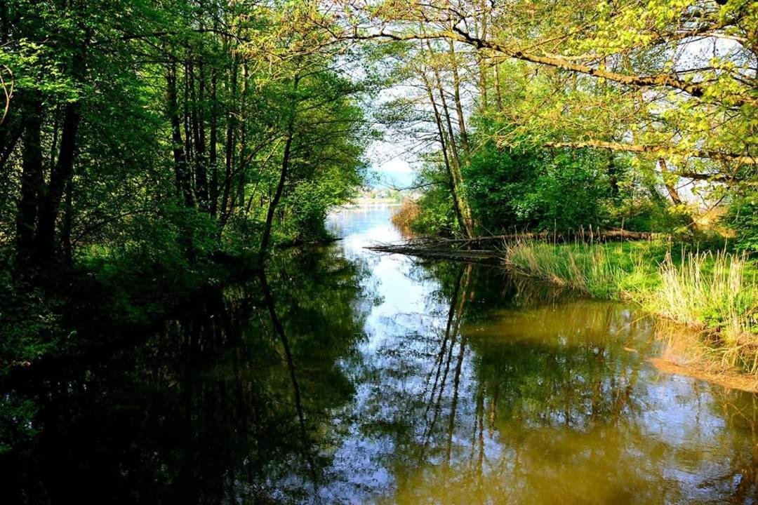 Ferienwohnung Resi Mit Traumhaftem Seepanorama Steindorf am Ossiacher See Exteriér fotografie